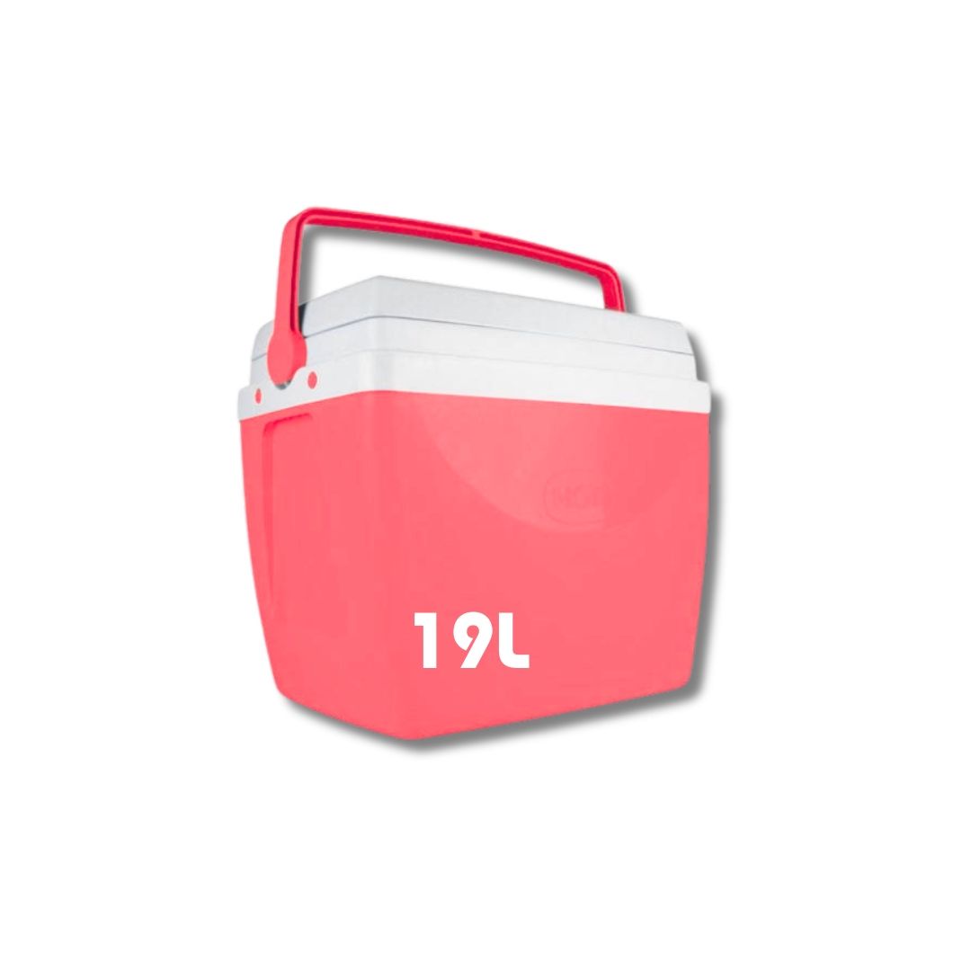conservadora-19-ltsvarxun-10086