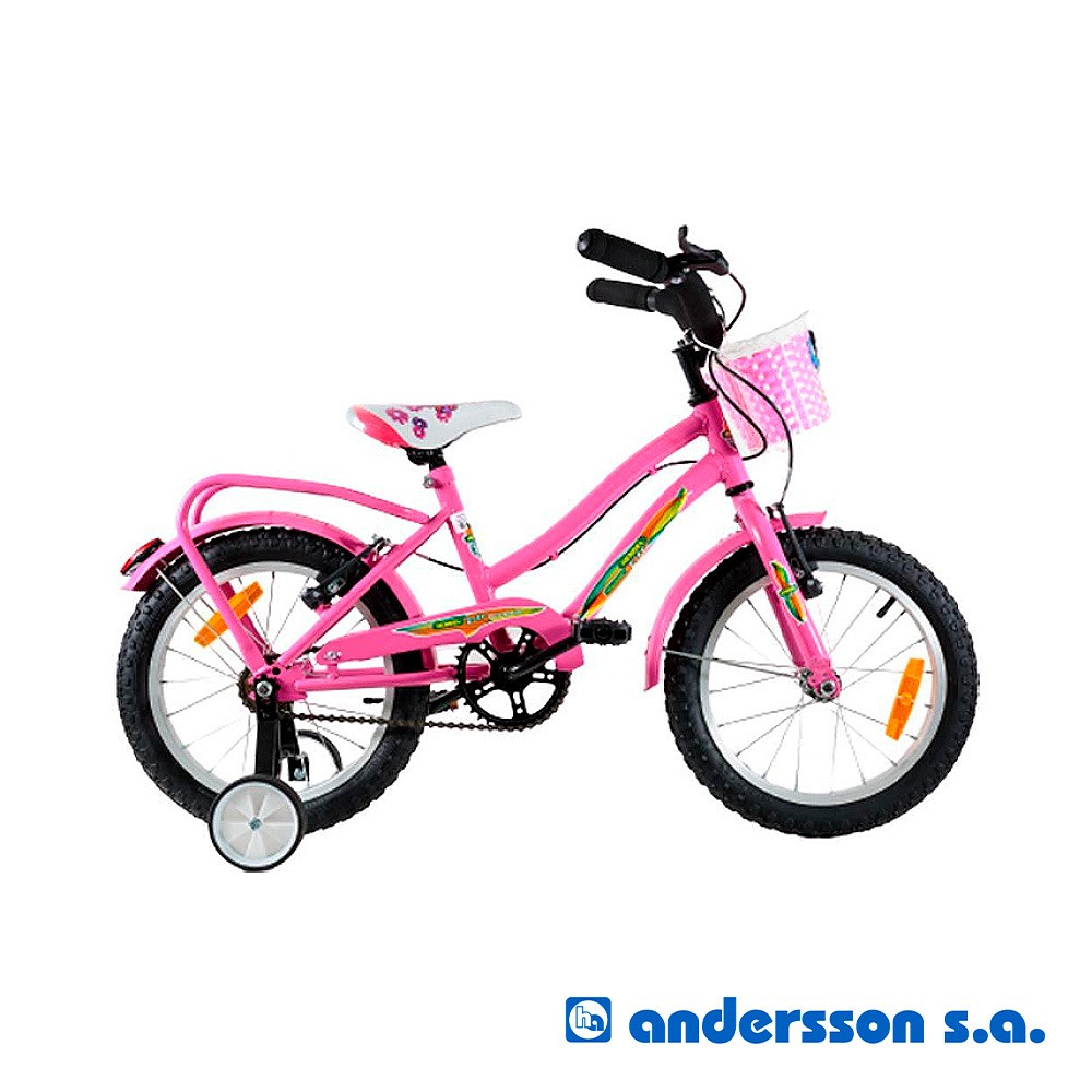bicifull-r16-dama-delfin-especial-ccanastoenergyxun-4018